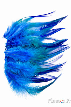 Haan - gebleekt - 10-15 cm - turkoois-blauw